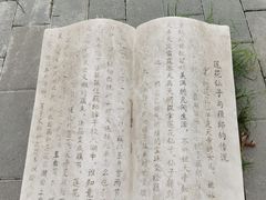 -莲花池公园