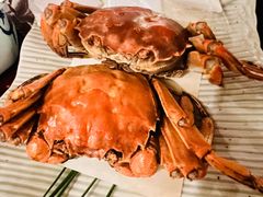 -松鹤精致料理(五一中路店)