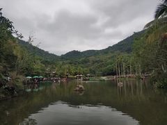 -呀诺达热带雨林