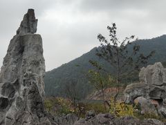 -千岛湖石林