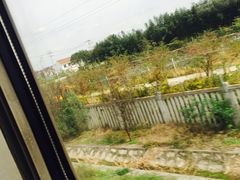 -上海南站
