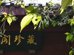 -堤角公园