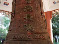 -江湾神木园