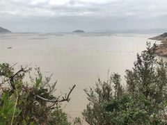 -北岐滩涂