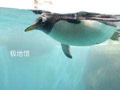 -大连圣亚海洋世界