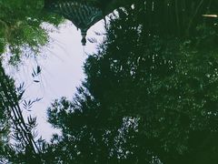 -成都杜甫草堂博物馆