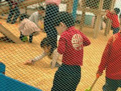 -麻涌飞鸭开心农场