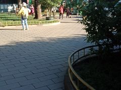 -听鹂馆饭庄(颐和园店)