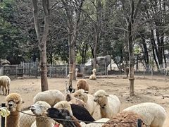 -南昌动物园