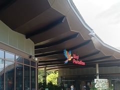 -新加坡飞禽公园