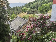 -潭柘寺景区