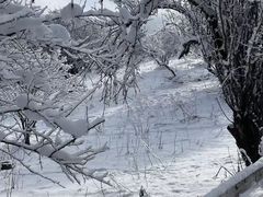 -太子岭滑雪场