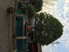 iphone_upload_pic-天怡·鱼工厂(临江店)