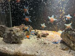-嘉兴海底世界
