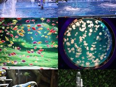 -多彩贵州城极地海洋世界
