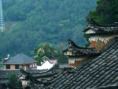 -杨家堂村