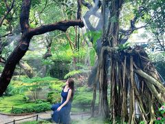 -Chom Cafe and Restaurant