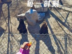 -石家庄市动物园