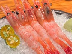-九州酒场ひこぞう(1号店)