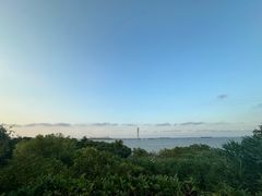 -上海吴淞炮台湾国家湿地公园