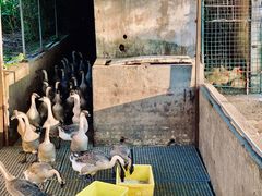 -红旗山庄(圭峰山店)