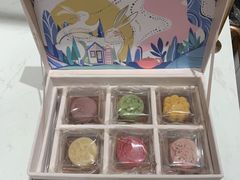 -奈雪的茶(石家庄万象城店)