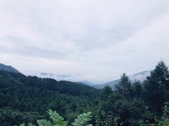 -白草畔自然风景区