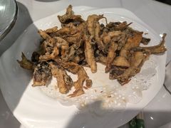 -清真·拉菲尔鱼庄·家常菜(钟楼回民街店)