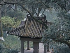 -杭州花家山庄