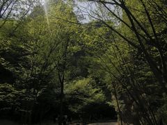 -野三坡百里峡景区