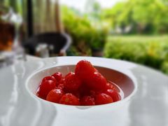 -野蔓果·山野菜(西湖景区·龙井茶田店)