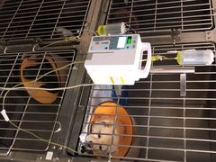 -安安宠医·安宠宠物医院