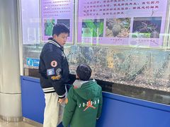 -上海昆虫博物馆