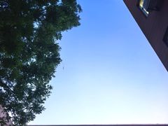 -浙江大学(玉泉校区)