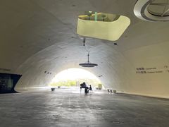 -捷运美丽岛站(The Dome of Light)