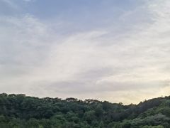 -羊山湖公园