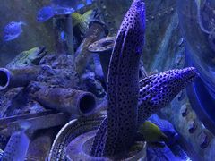 -成都浩海立方海洋公园