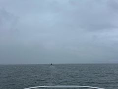 -大理洱海