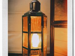 -天津津利华酒店