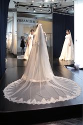 -MuseMarry婚纱(前海嘉里中心店)