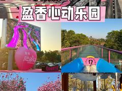 -盈香心动乐园