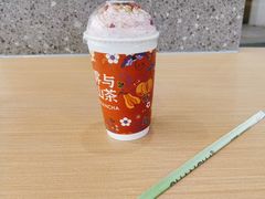 -雾与山茶(大禹城店)