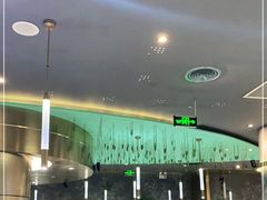 大堂-青花椒花椒鱼(合生汇店)