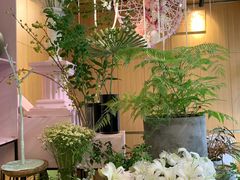 -蝶舍·MAISON PAPILLON