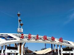 -石家庄市植物园