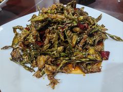 干辣椒海兔-福星饭店(北新胡同店)