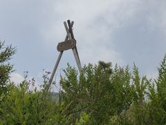 -北京鹫峰国家森林公园