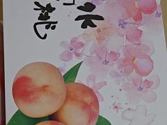 -老袁家蜜桃农场·阳山水蜜桃