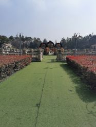 -伊莎贝拉婚礼庄园(顾村店)