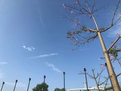 -瑞幸咖啡(Lab·华强电子世界店)